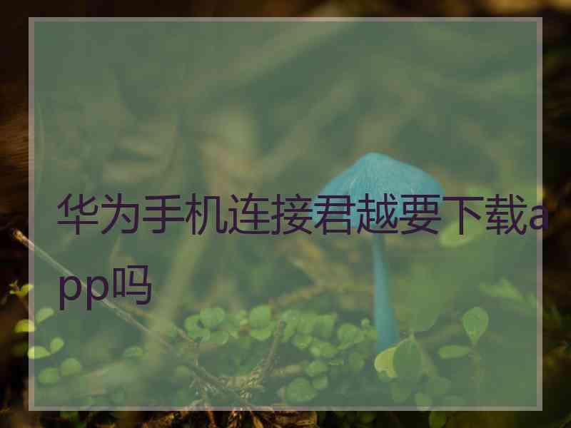 华为手机连接君越要下载app吗