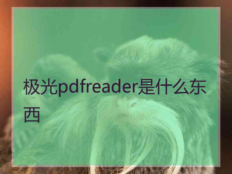 极光pdfreader是什么东西