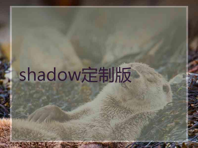 shadow定制版