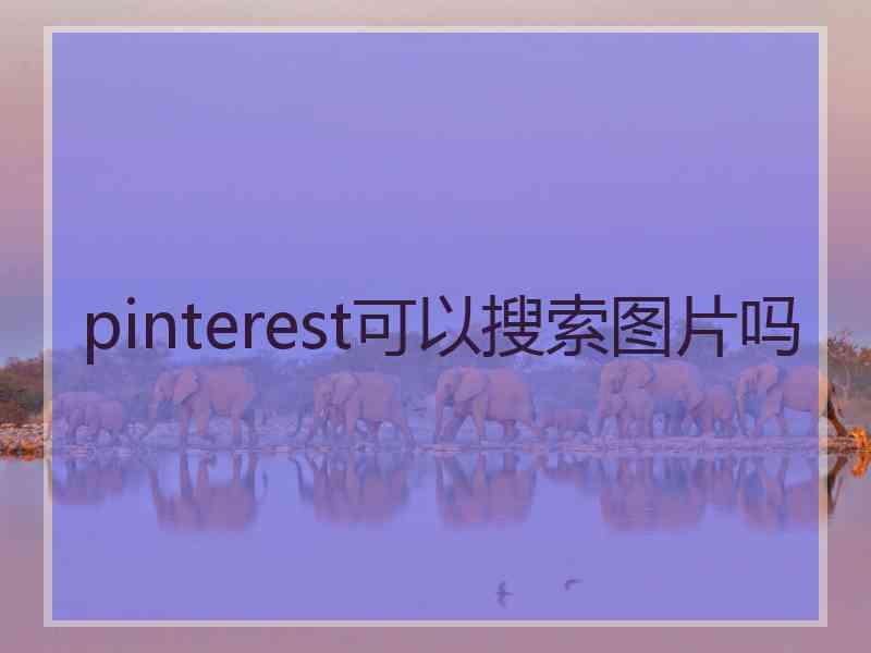 pinterest可以搜索图片吗