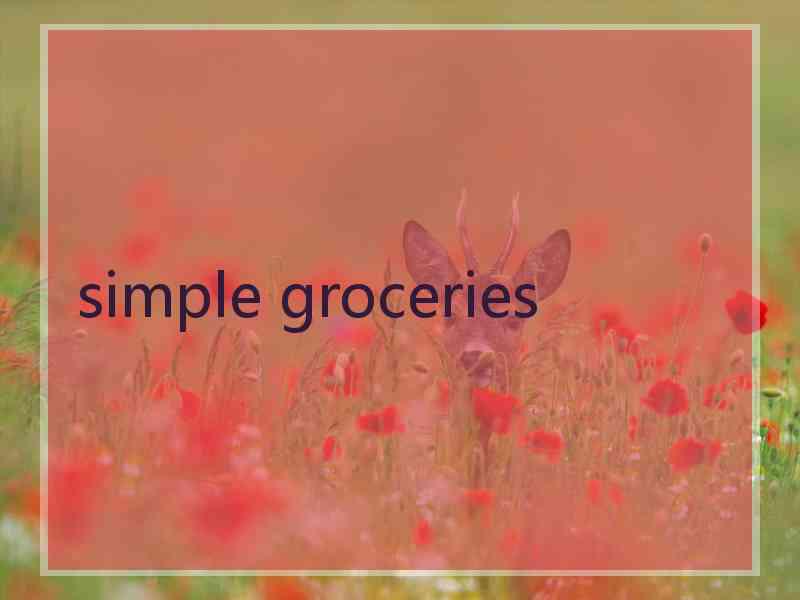 simple groceries