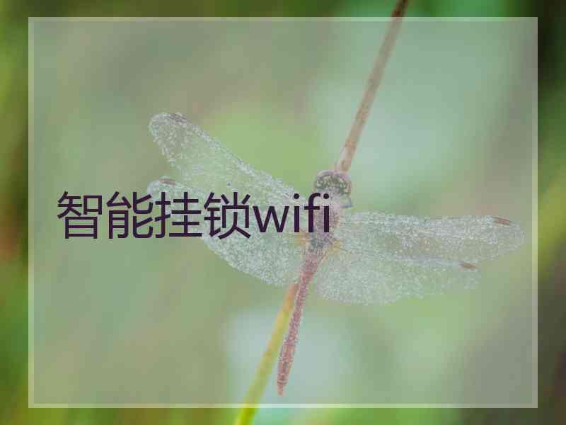 智能挂锁wifi