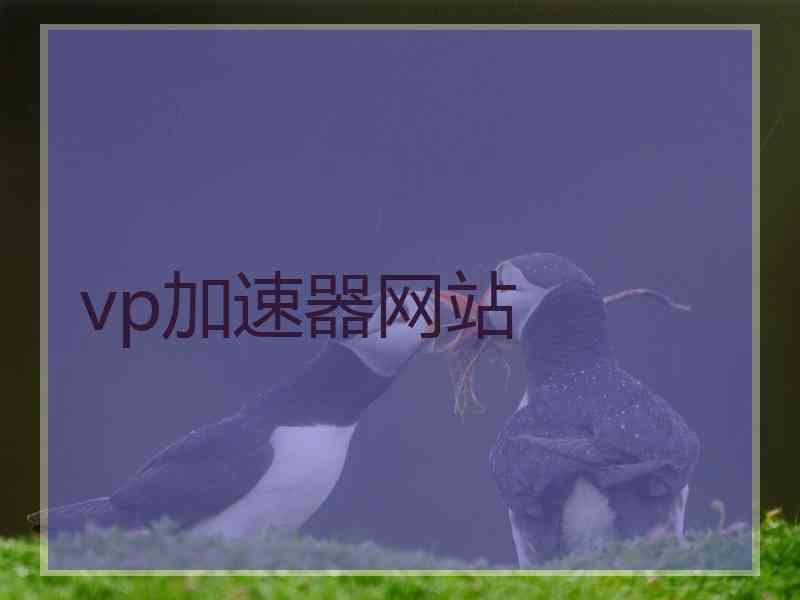 vp加速器网站