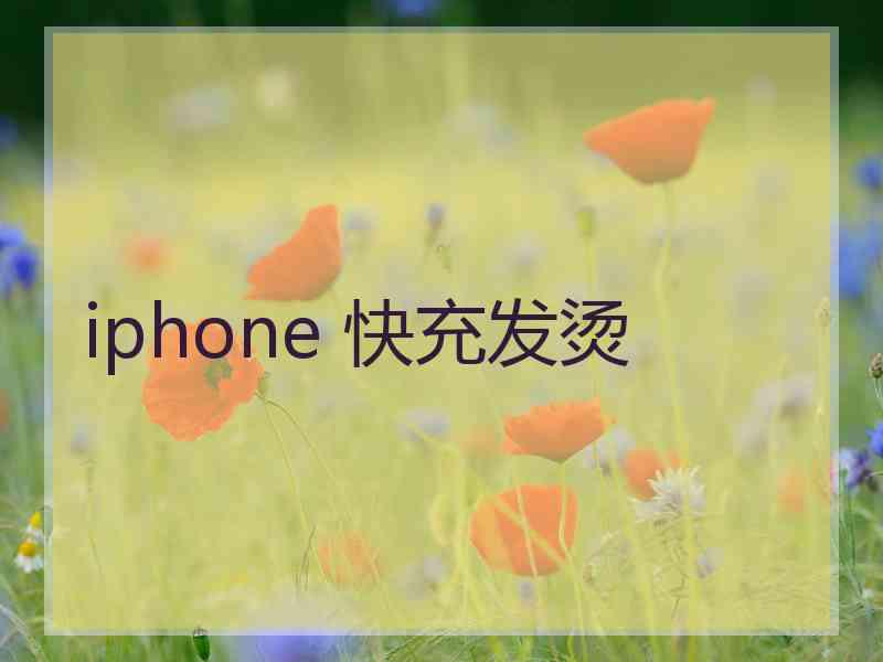 iphone 快充发烫