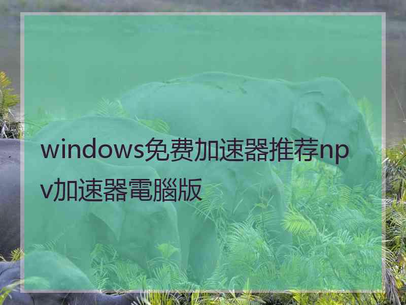 windows免费加速器推荐npv加速器電腦版