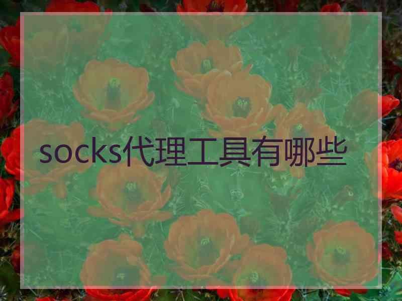 socks代理工具有哪些