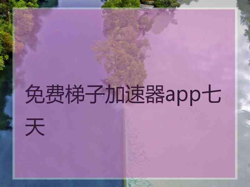 免费梯子加速器app七天