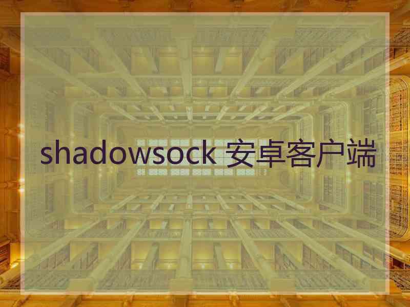 shadowsock 安卓客户端