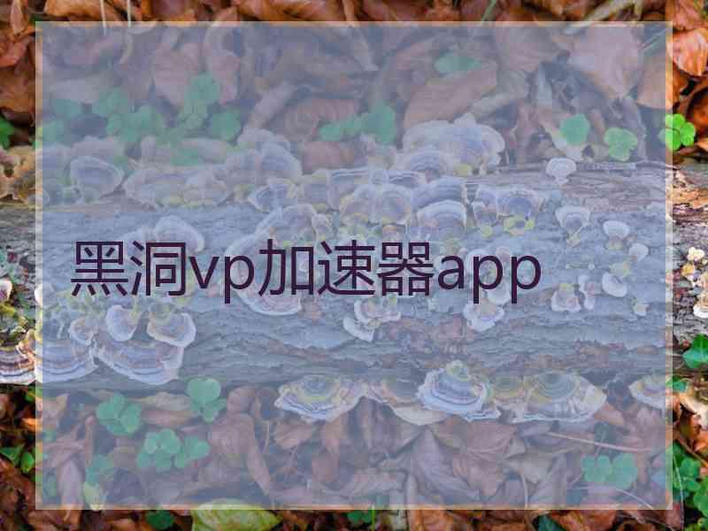 黑洞vp加速器app