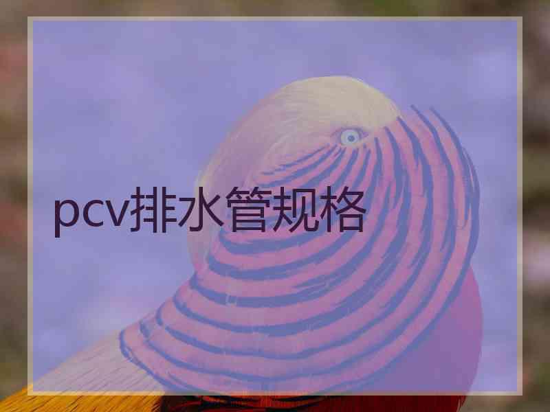 pcv排水管规格