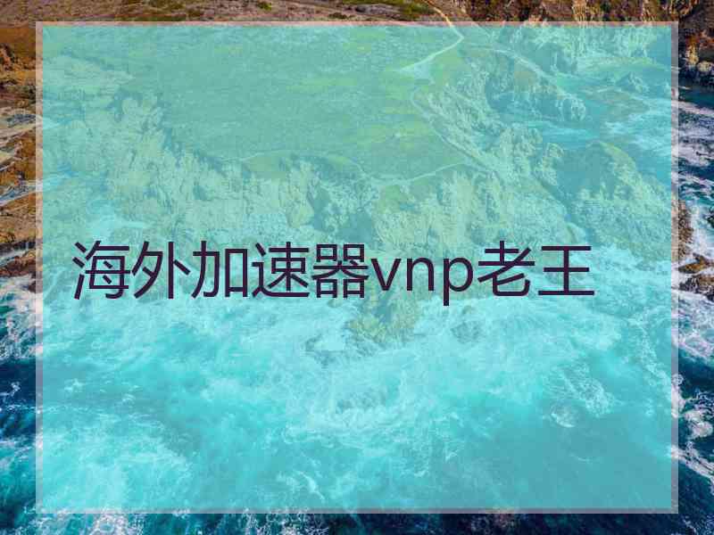 海外加速器vnp老王