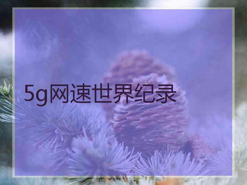 5g网速世界纪录