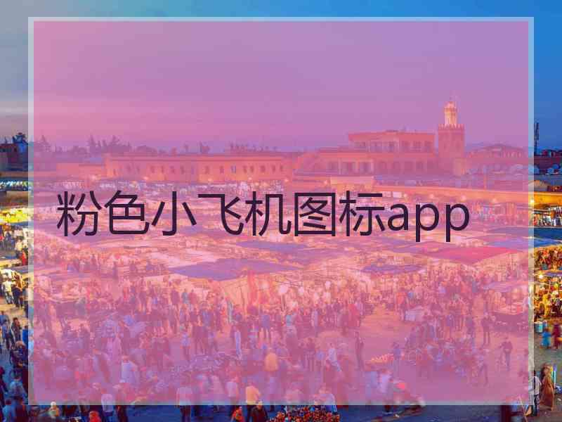 粉色小飞机图标app