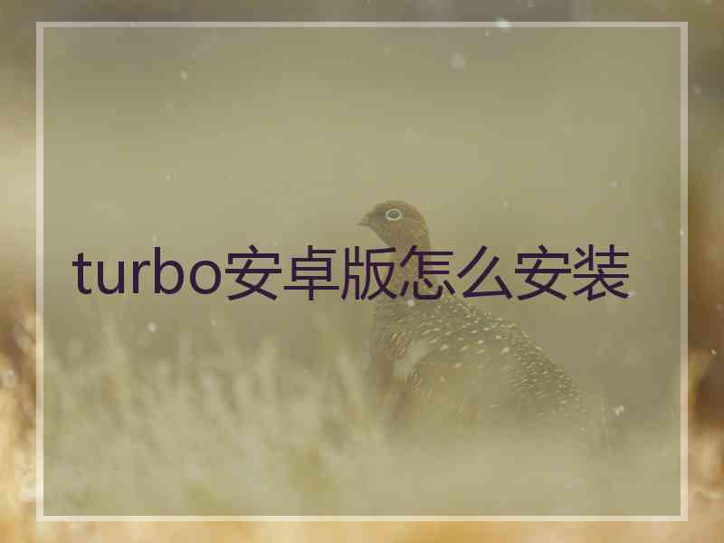 turbo安卓版怎么安装