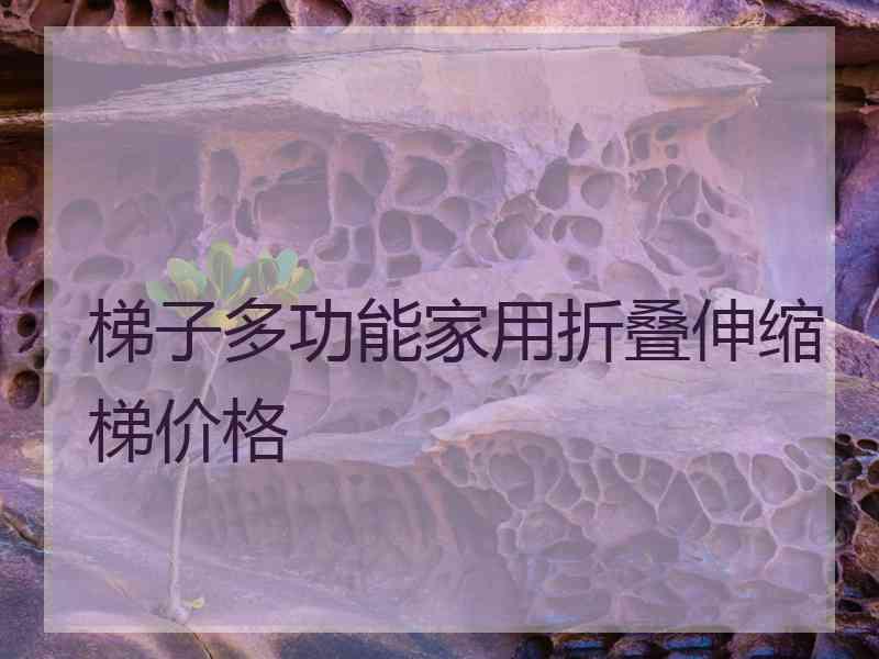 梯子多功能家用折叠伸缩梯价格