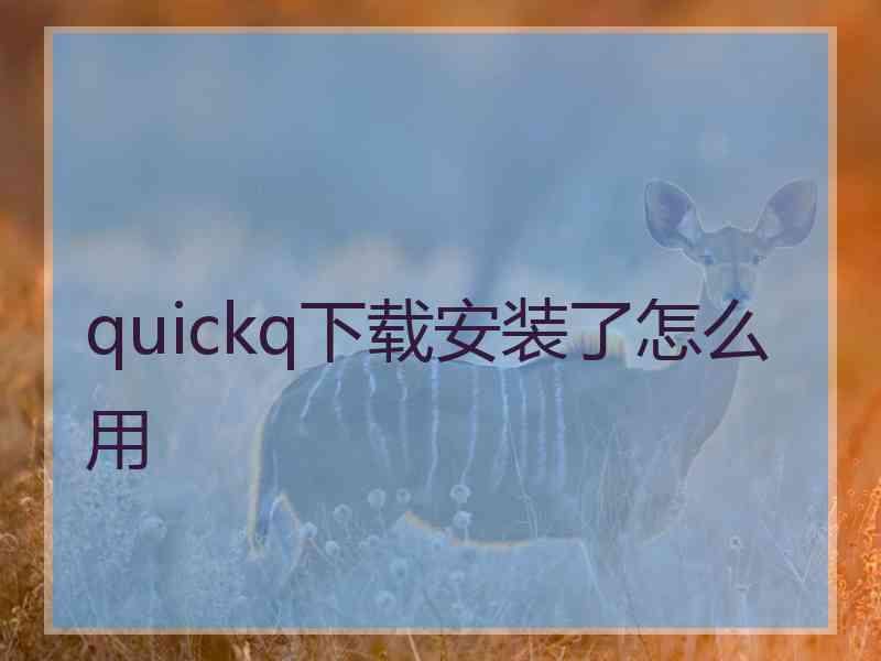 quickq下载安装了怎么用