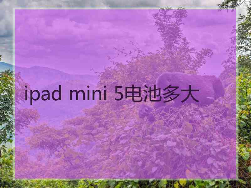 ipad mini 5电池多大