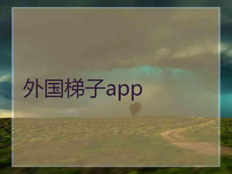 外国梯子app