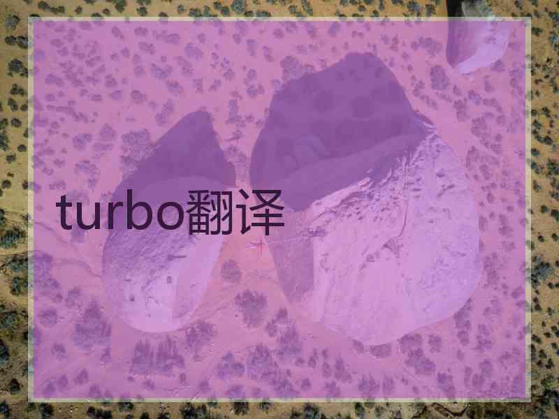 turbo翻译