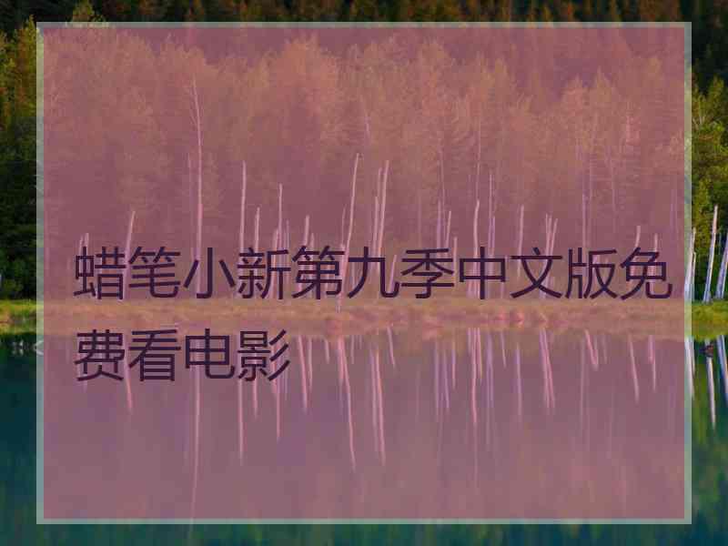 蜡笔小新第九季中文版免费看电影