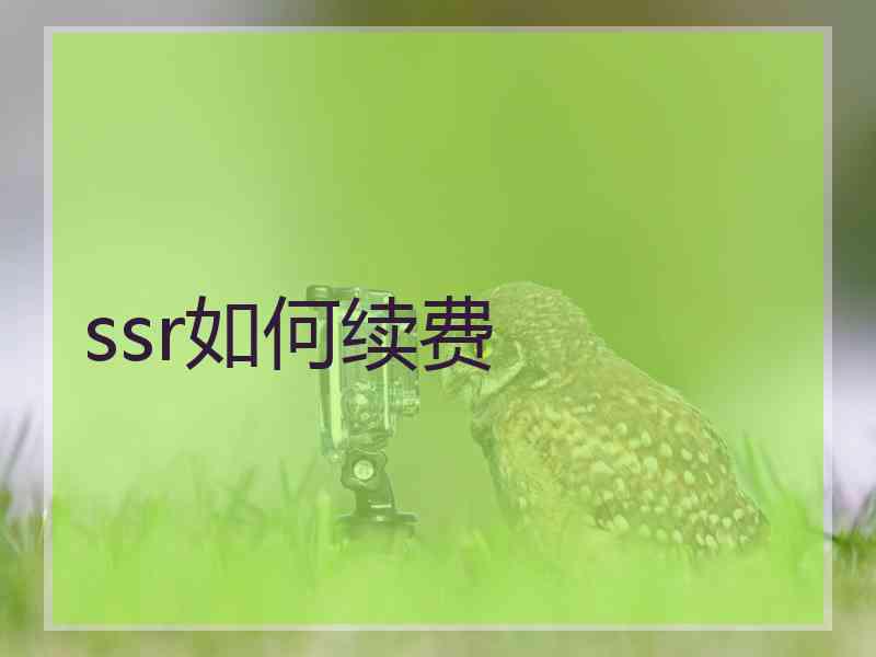 ssr如何续费