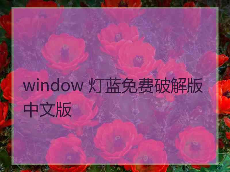 window 灯蓝免费破解版中文版