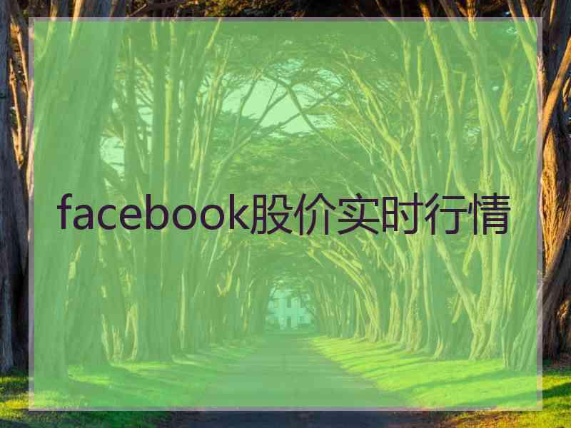 facebook股价实时行情