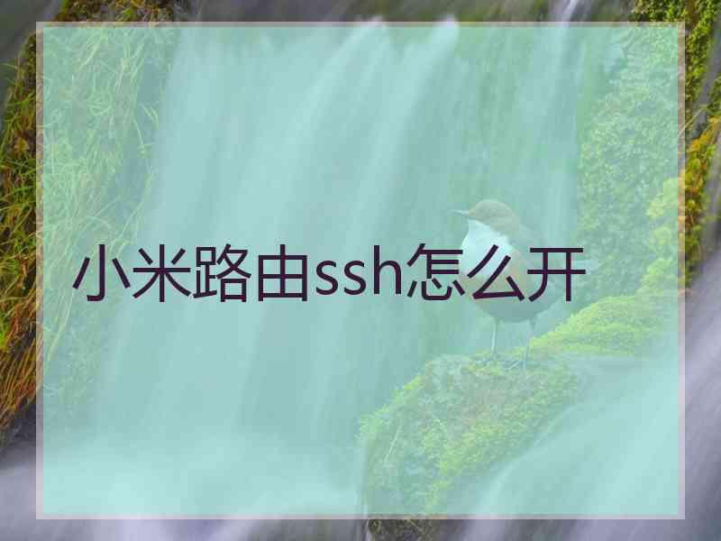 小米路由ssh怎么开