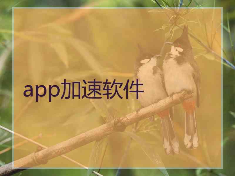 app加速软件