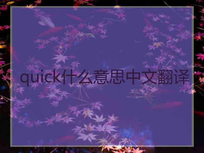 quick什么意思中文翻译