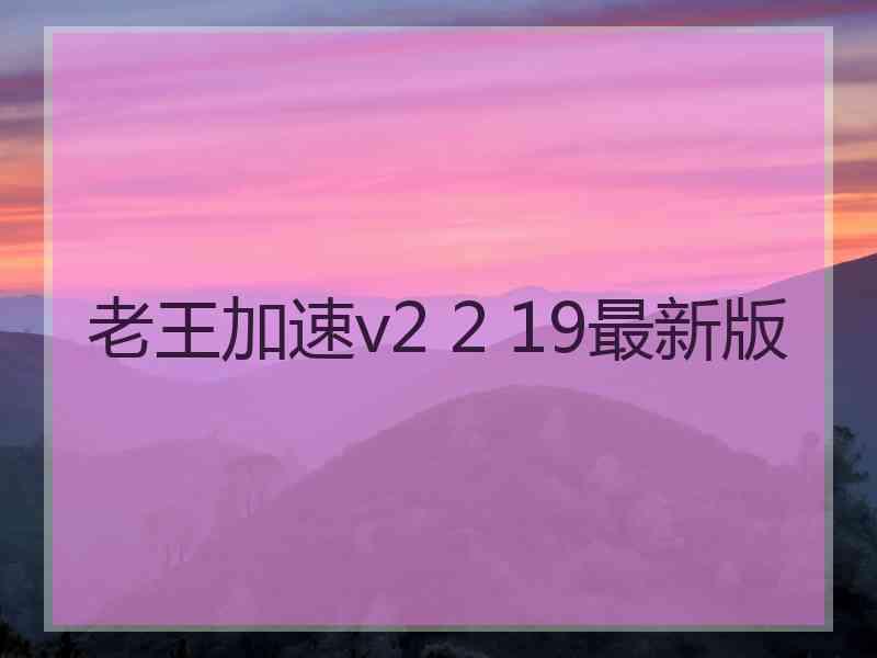 老王加速v2 2 19最新版