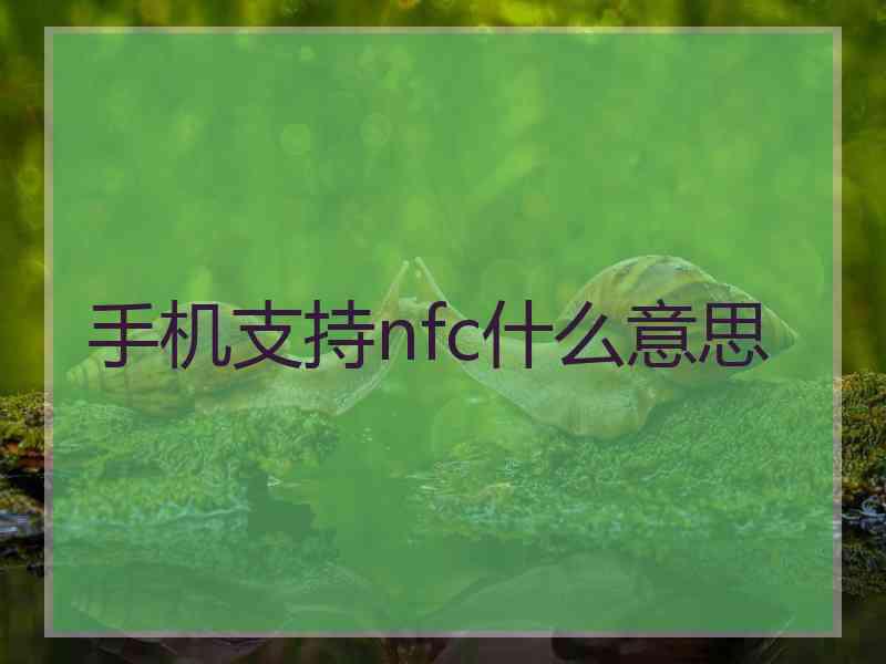 手机支持nfc什么意思