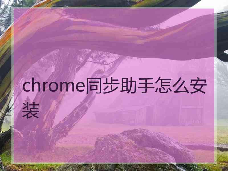 chrome同步助手怎么安装