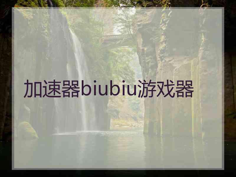 加速器biubiu游戏器