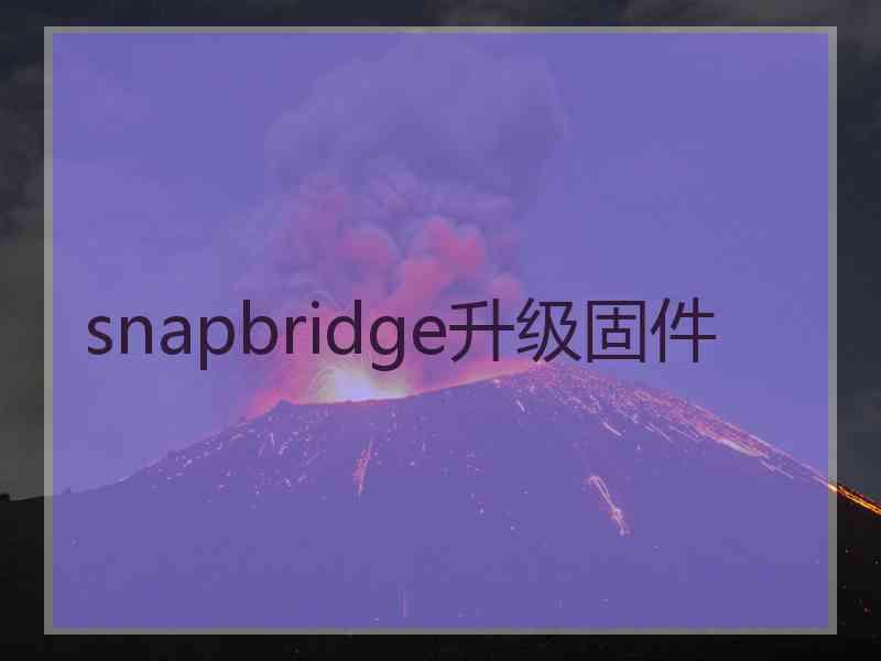 snapbridge升级固件