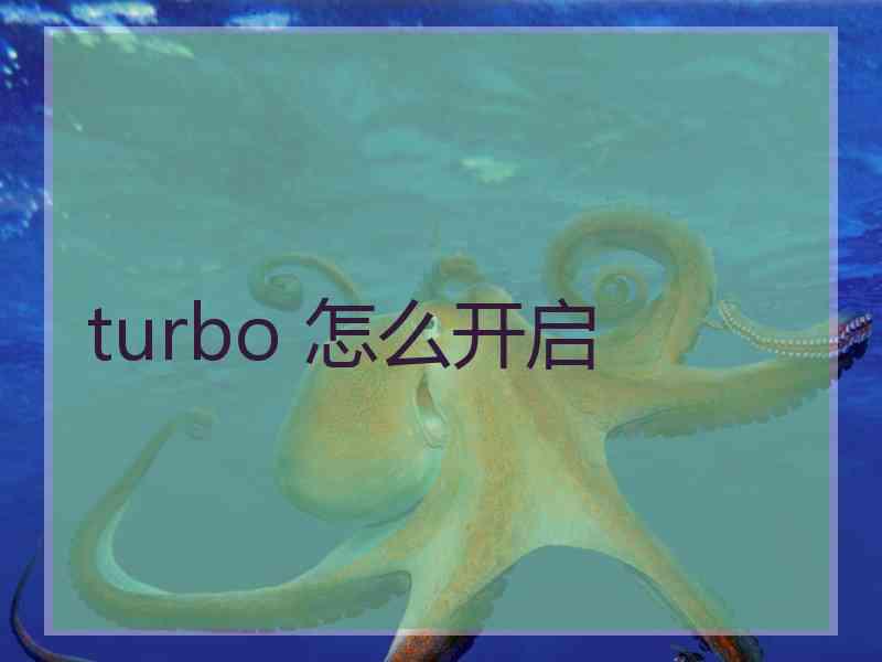 turbo 怎么开启