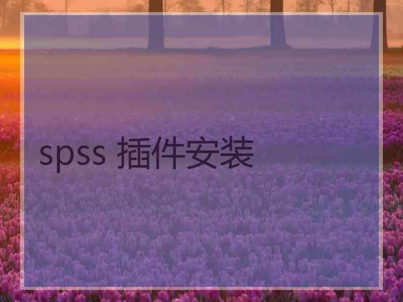 spss 插件安装