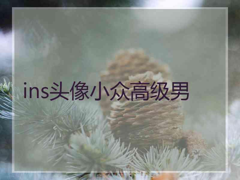 ins头像小众高级男