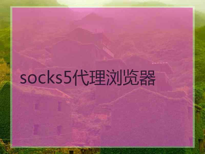 socks5代理浏览器