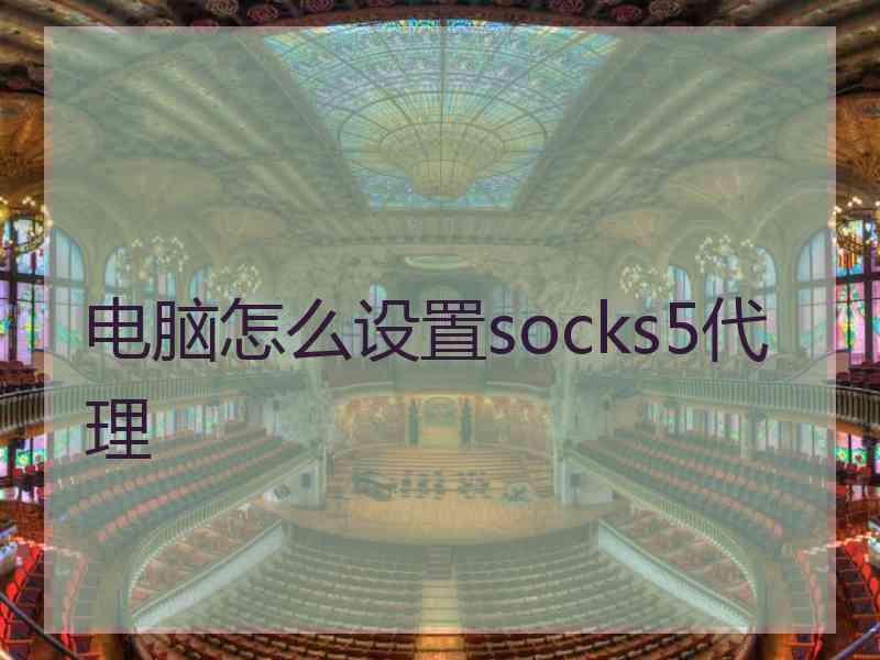 电脑怎么设置socks5代理