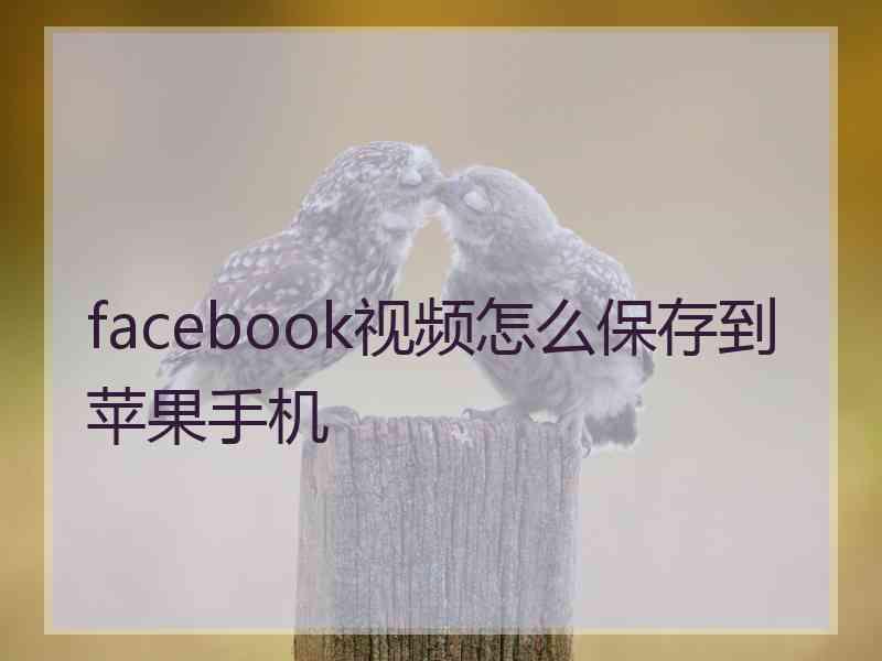 facebook视频怎么保存到苹果手机