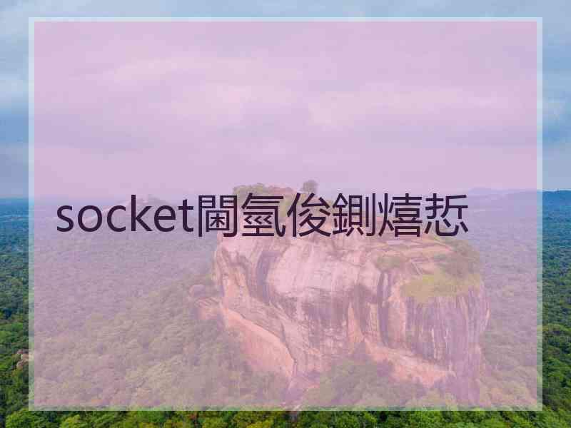 socket閫氫俊鍘熺悊