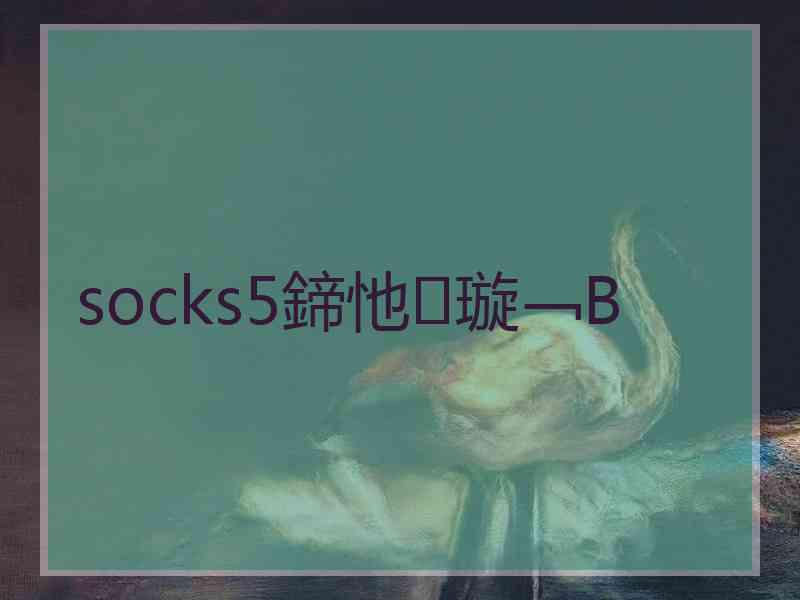 socks5鍗忚璇﹁В