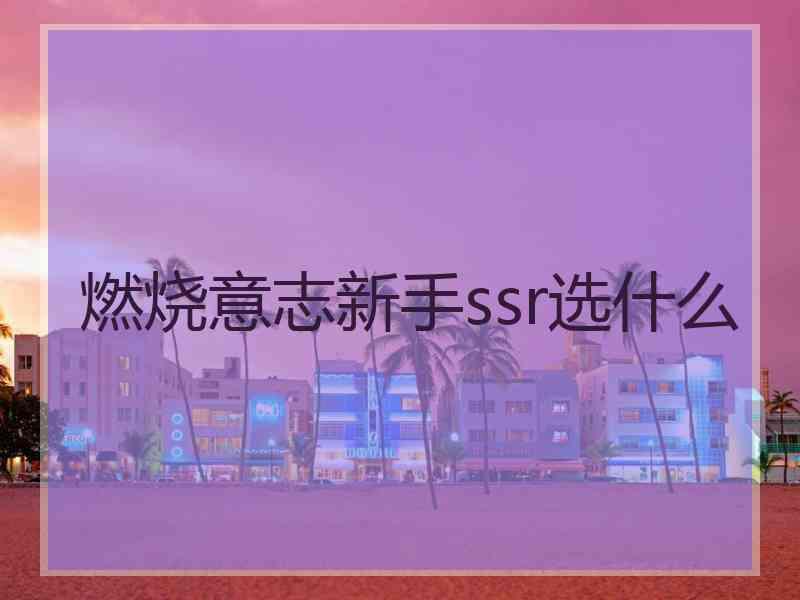 燃烧意志新手ssr选什么