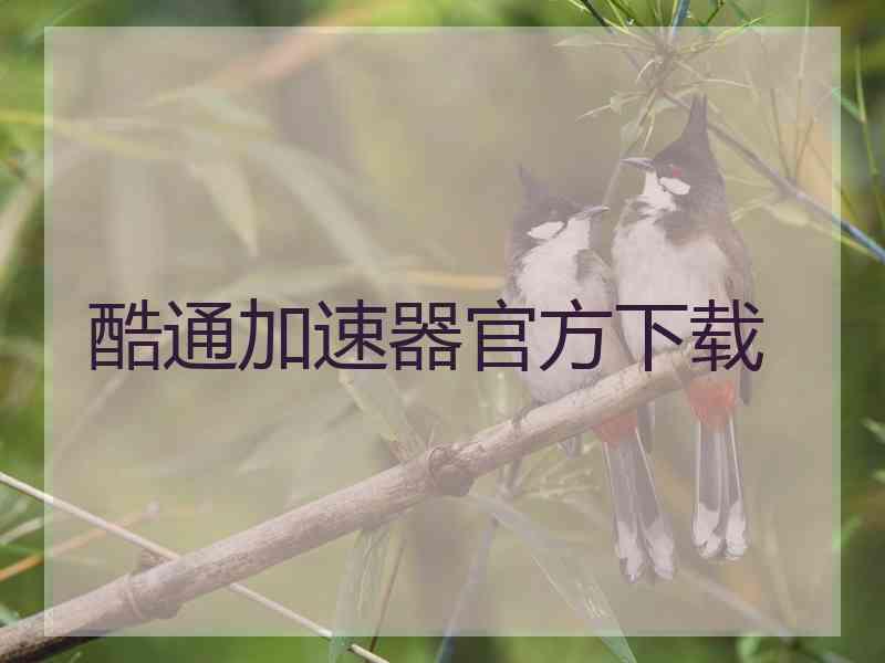 酷通加速器官方下载