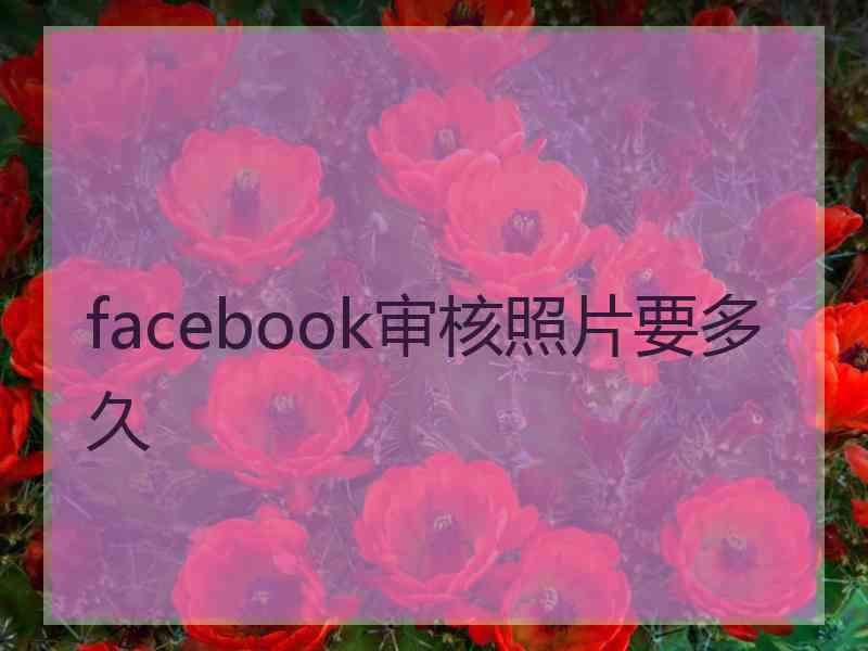 facebook审核照片要多久