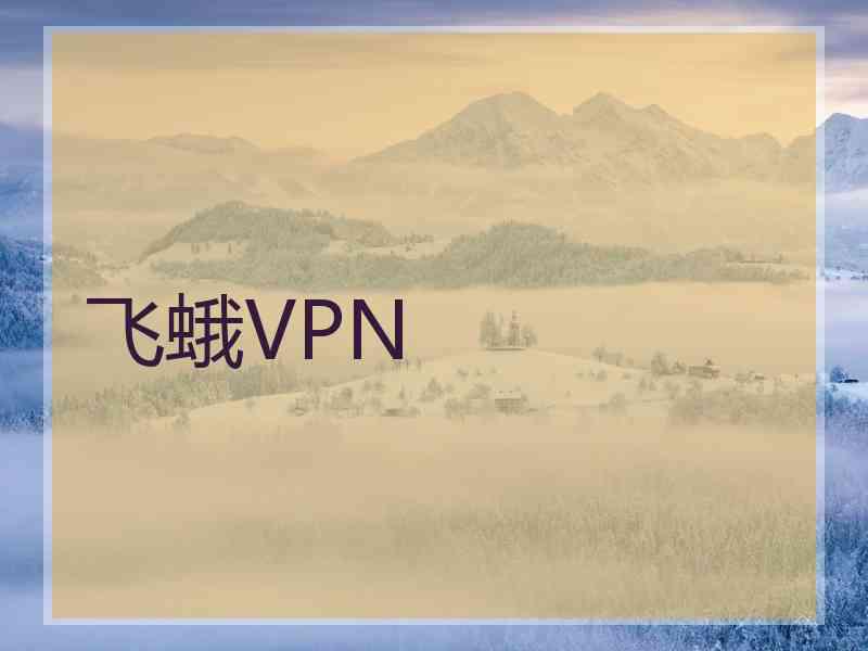 飞蛾VPN