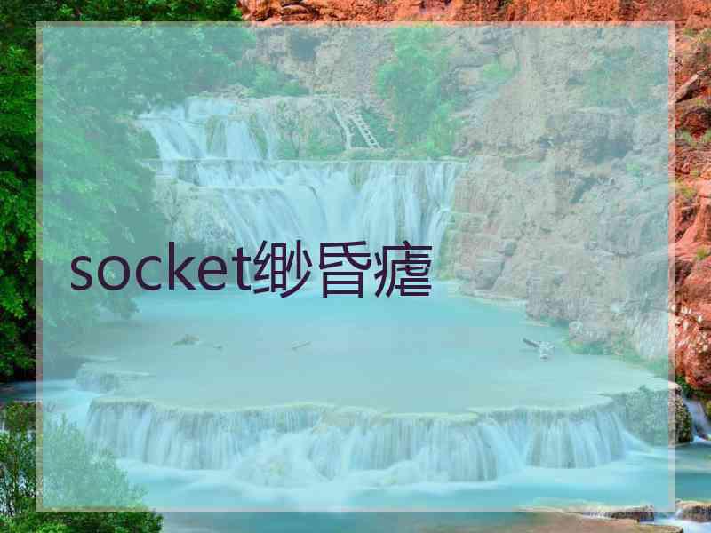 socket缈昏瘧