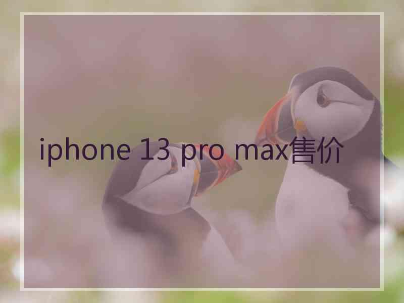 iphone 13 pro max售价