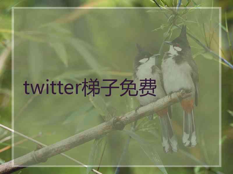 twitter梯子免费